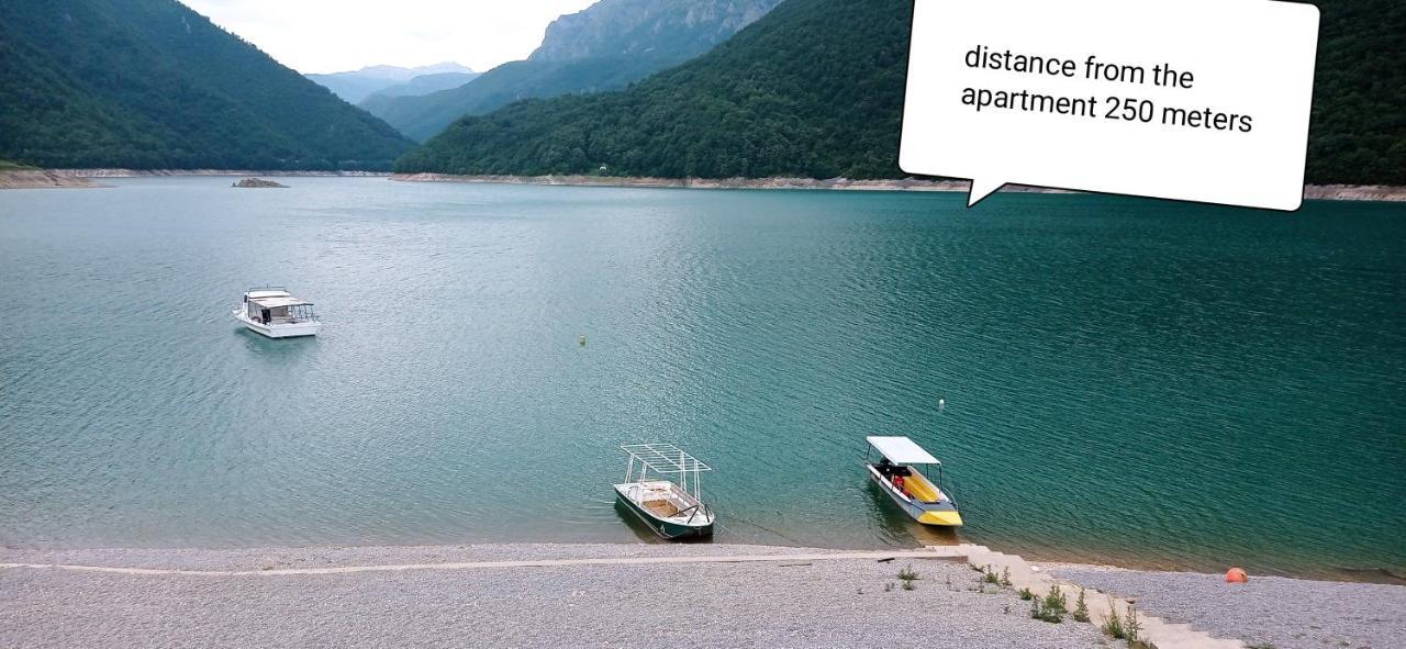 פלוזינה Apartment Holiday Lake - Piva 2022 מראה חיצוני תמונה